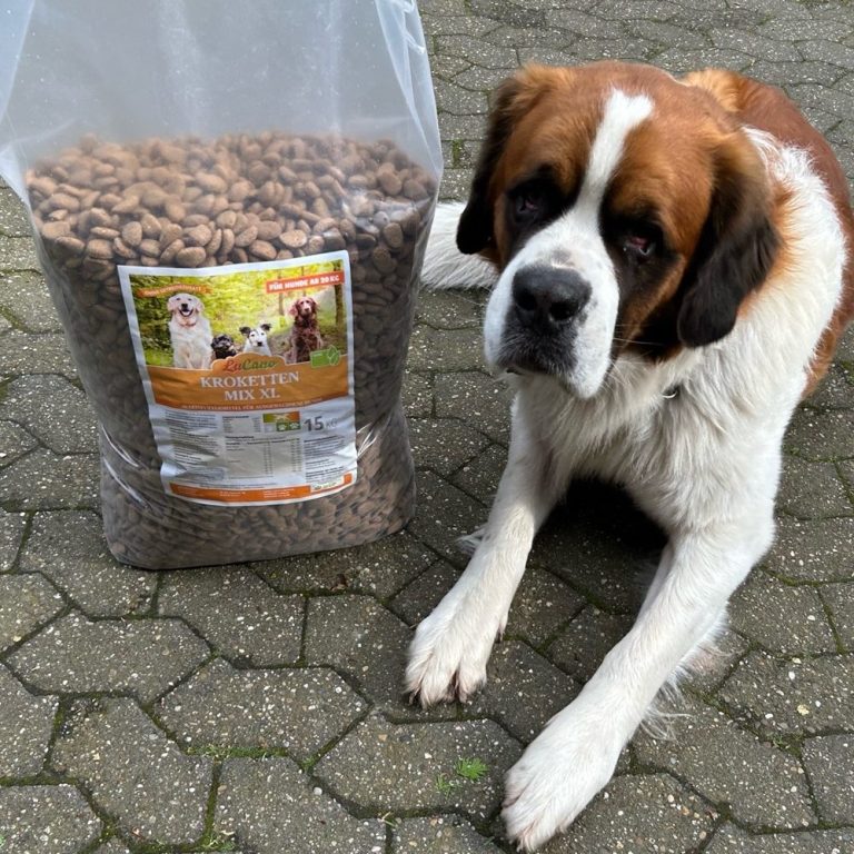 getreidefreies Hundefutter Trockenfutter für Hunde