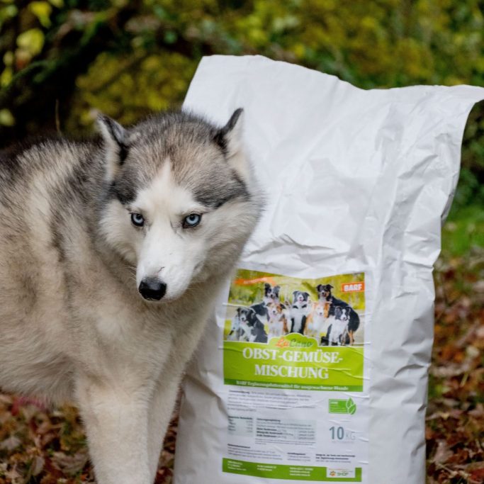 Setter mit den Flocken von LuCano Gemüseflocken Hund