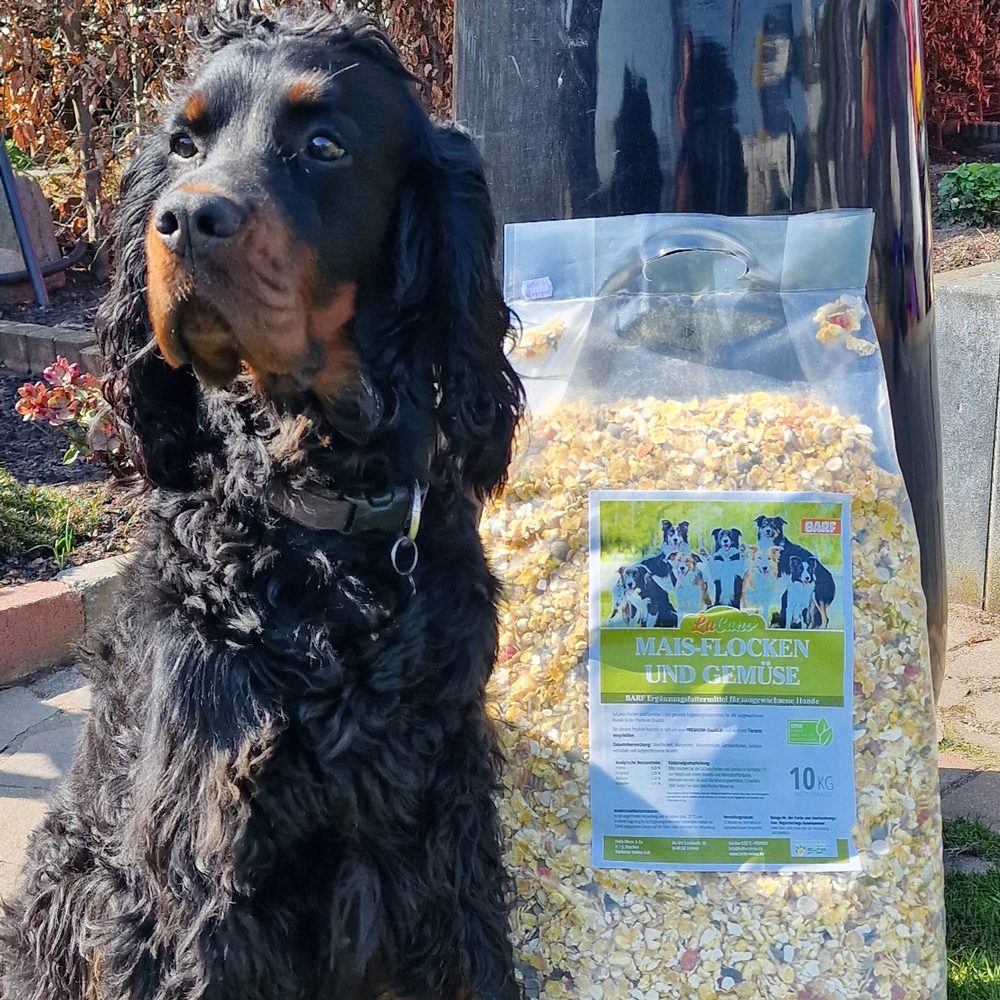 Hundeflocken als Futterergänzung Gordon Setter Gemüseflocken für Hund Mais