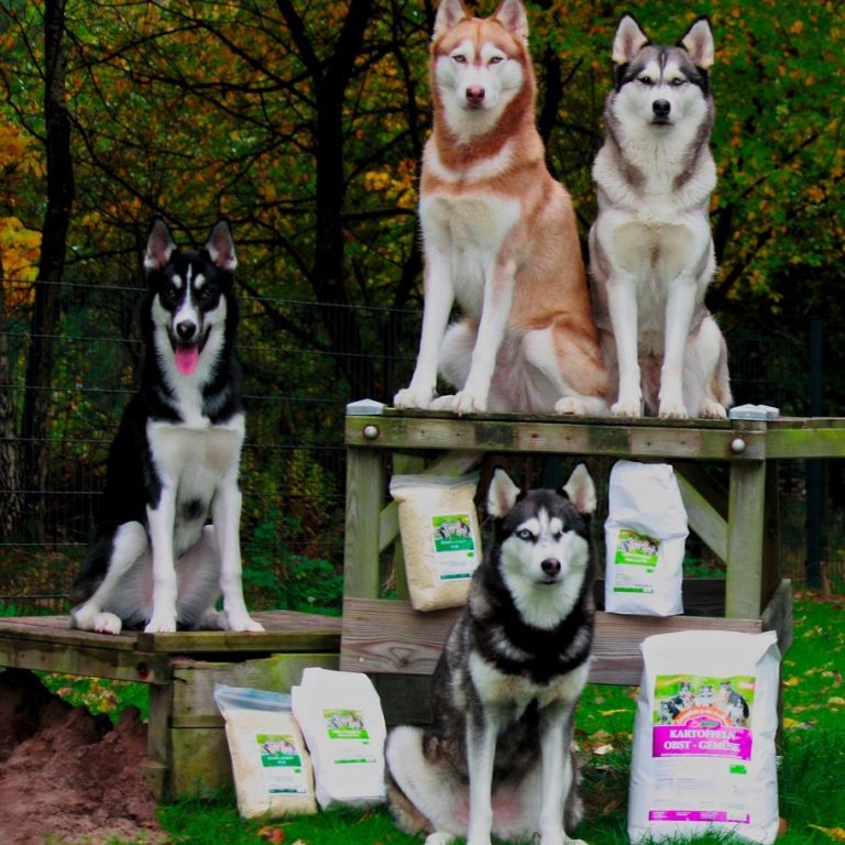 BARF Flocken für Hunde Gemüseflocken Hund